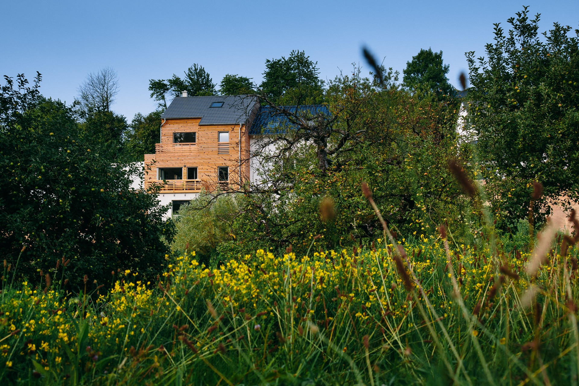 Holzhaus Sinzheim: Ein Zuhause aus Holz in Split-Level-Bauweise / Bildquelle: uvw-fotografie